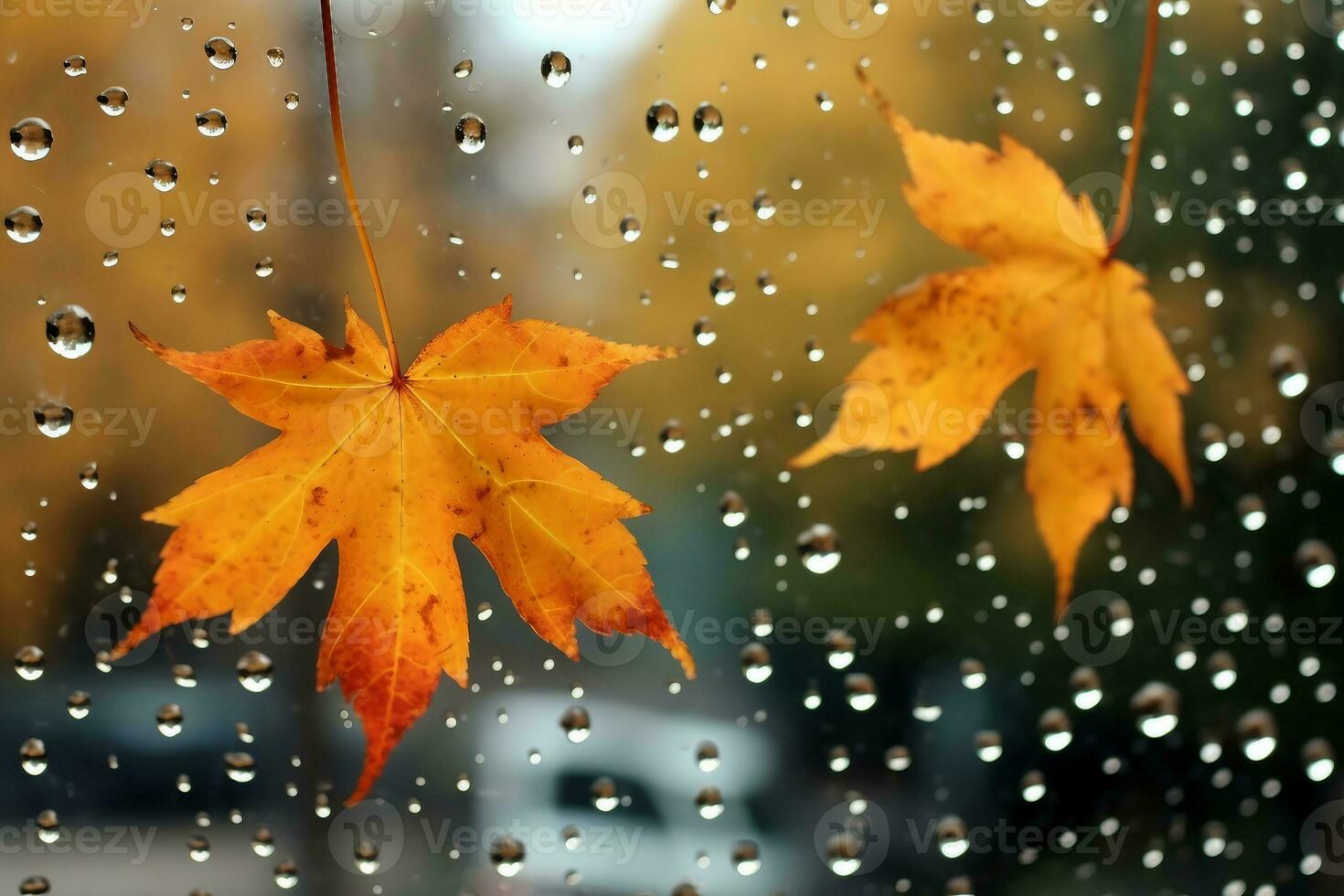 raindrops and fallen maple leaves on the window weather characteristic autumn. generative ai. photo