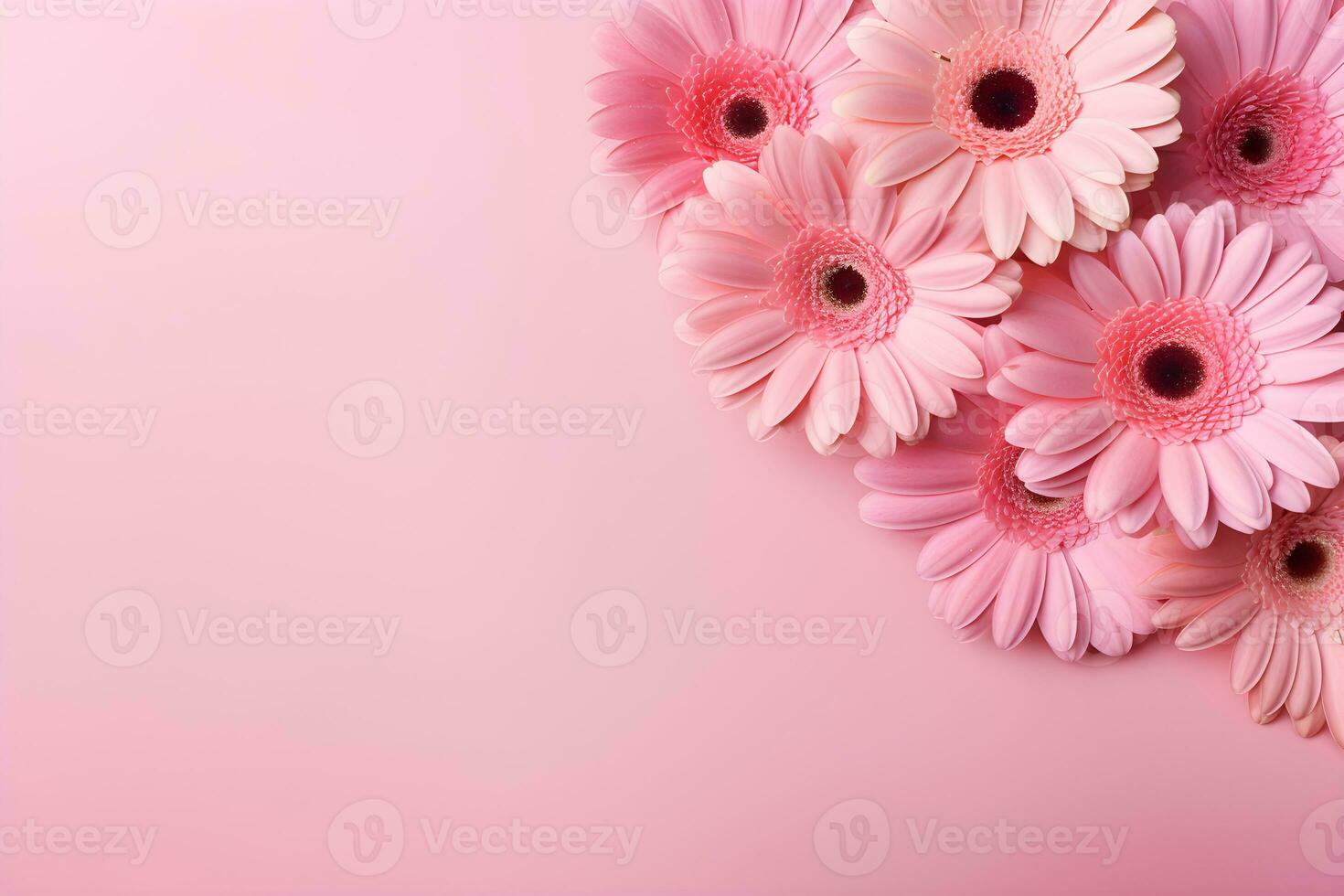 Beautiful pink gerbera flowers on pink background.Generative AI. photo