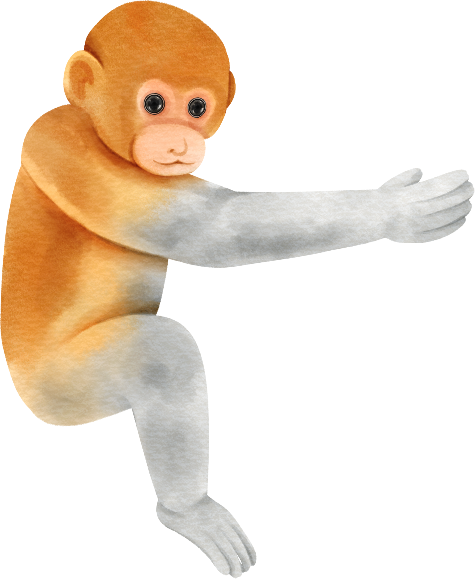 bebé mono acuarela 29725103 PNG