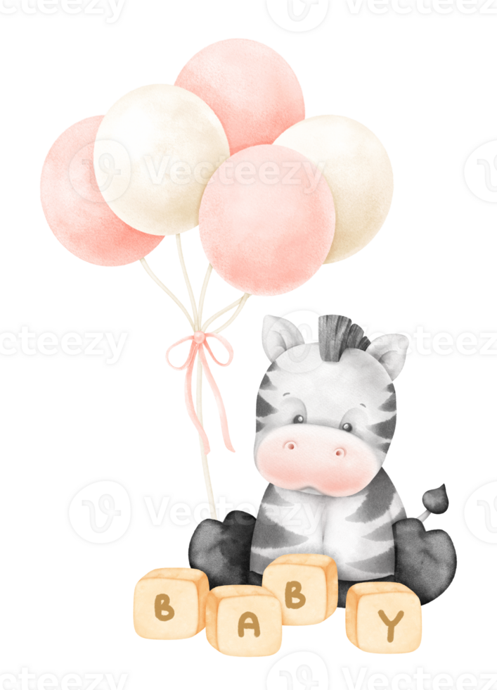 Baby Zebra and balloons png