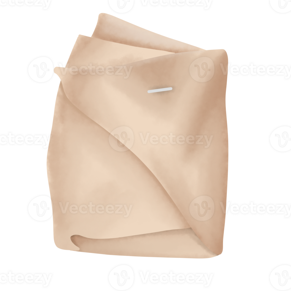 Rice Wrap Illustration png