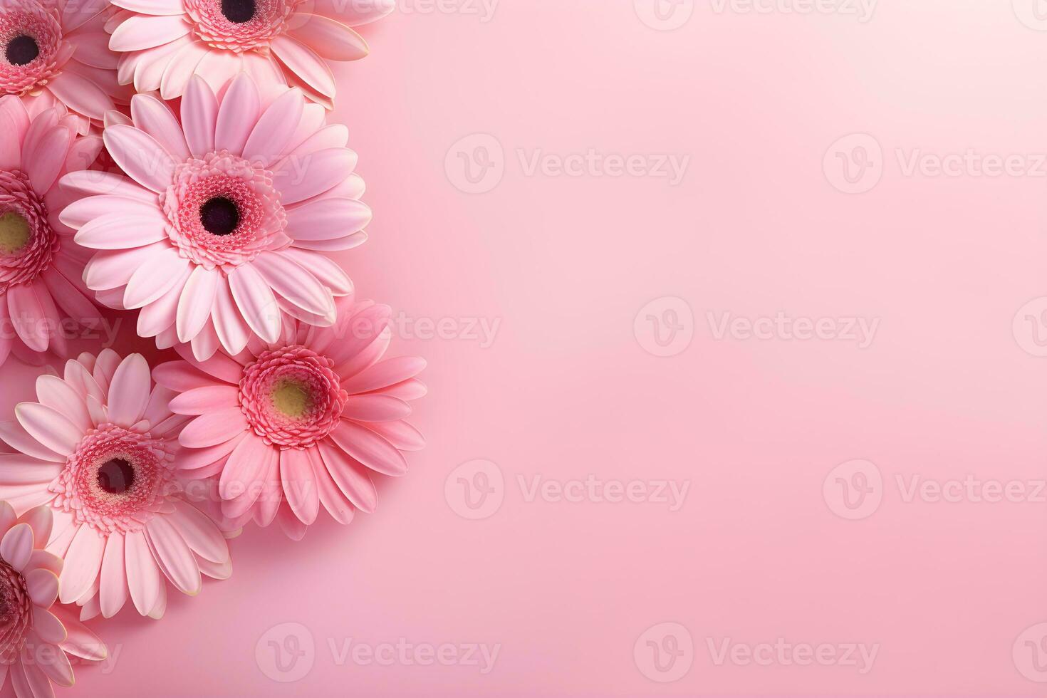 Beautiful pink gerbera flowers on pink background.Generative AI. photo