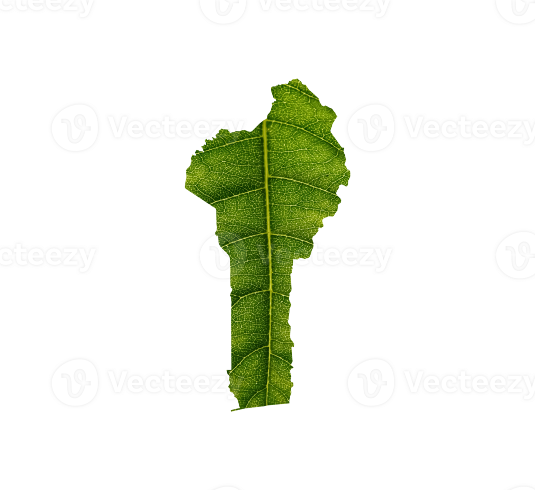 Benin map made of green leaves, concept ecology Map green leaf png