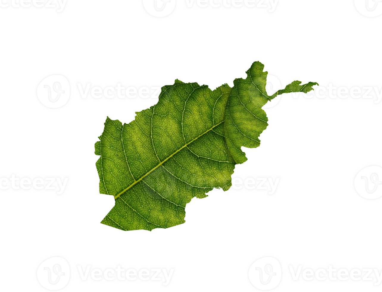 Afghanistan map made of green leaves, concept ecology Map green leaf png