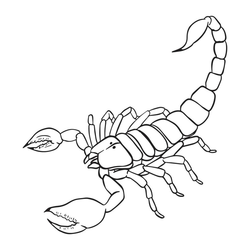 Scorpion Outline art vector