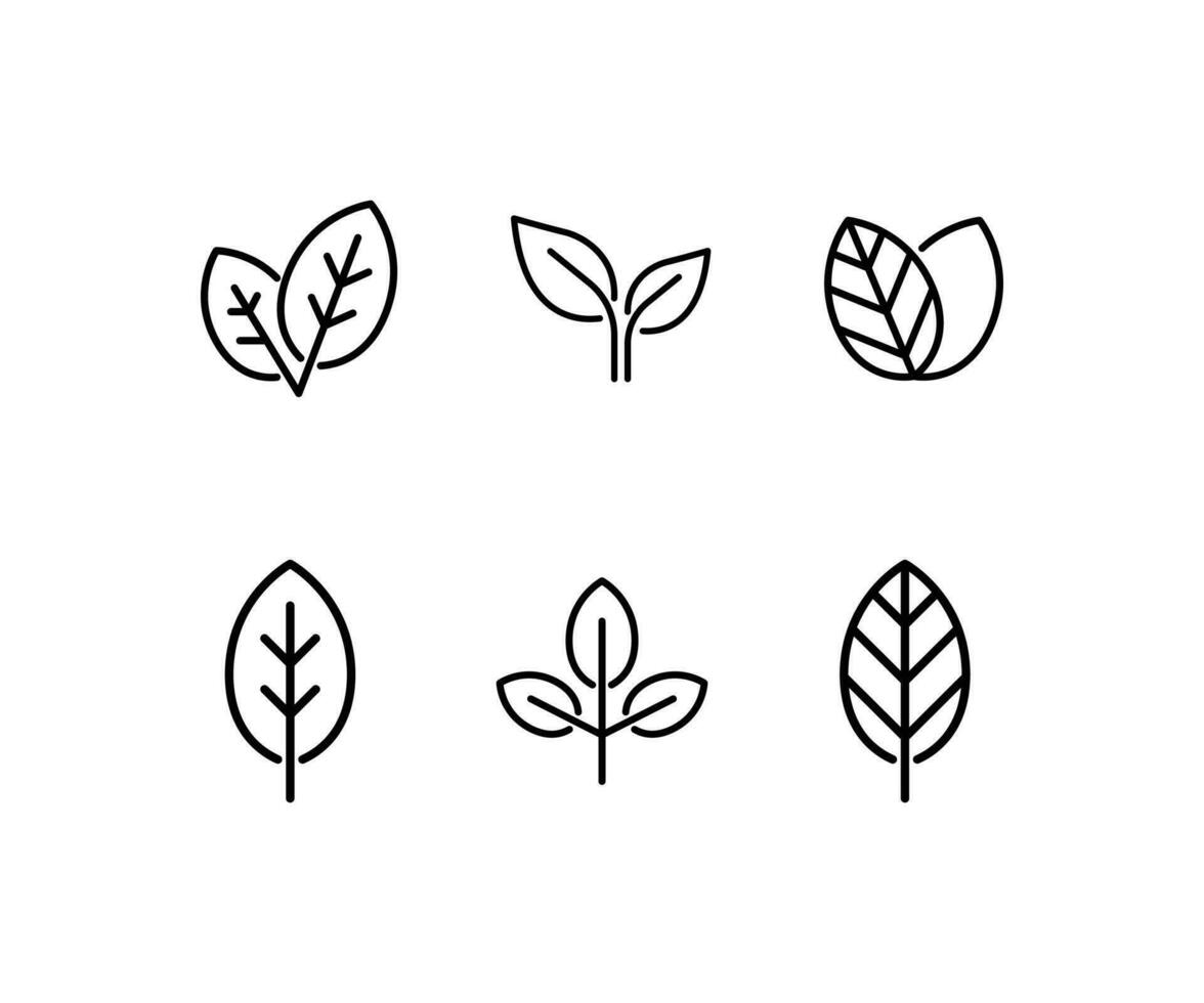 naturaleza hojas. conjunto de diferente tipos de hojas. naturalidad. eco amigable. Fertilidad y crecimiento símbolo, línea icono, eco conjunto de negro línea hoja vector ilustración. diseño en blanco antecedentes. eps10
