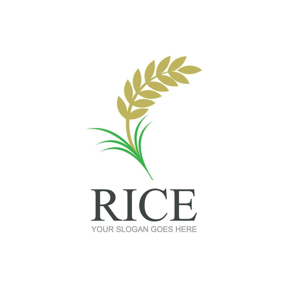 arroz o trigo grano agricultura logo diseño para tu negocio y producto nombres o para todas tu ideas vector