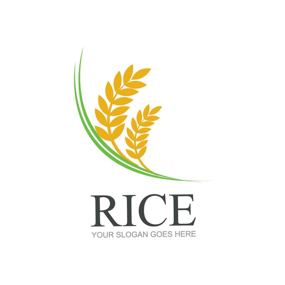arroz o trigo grano agricultura logo diseño para tu negocio y producto nombres o para todas tu ideas vector