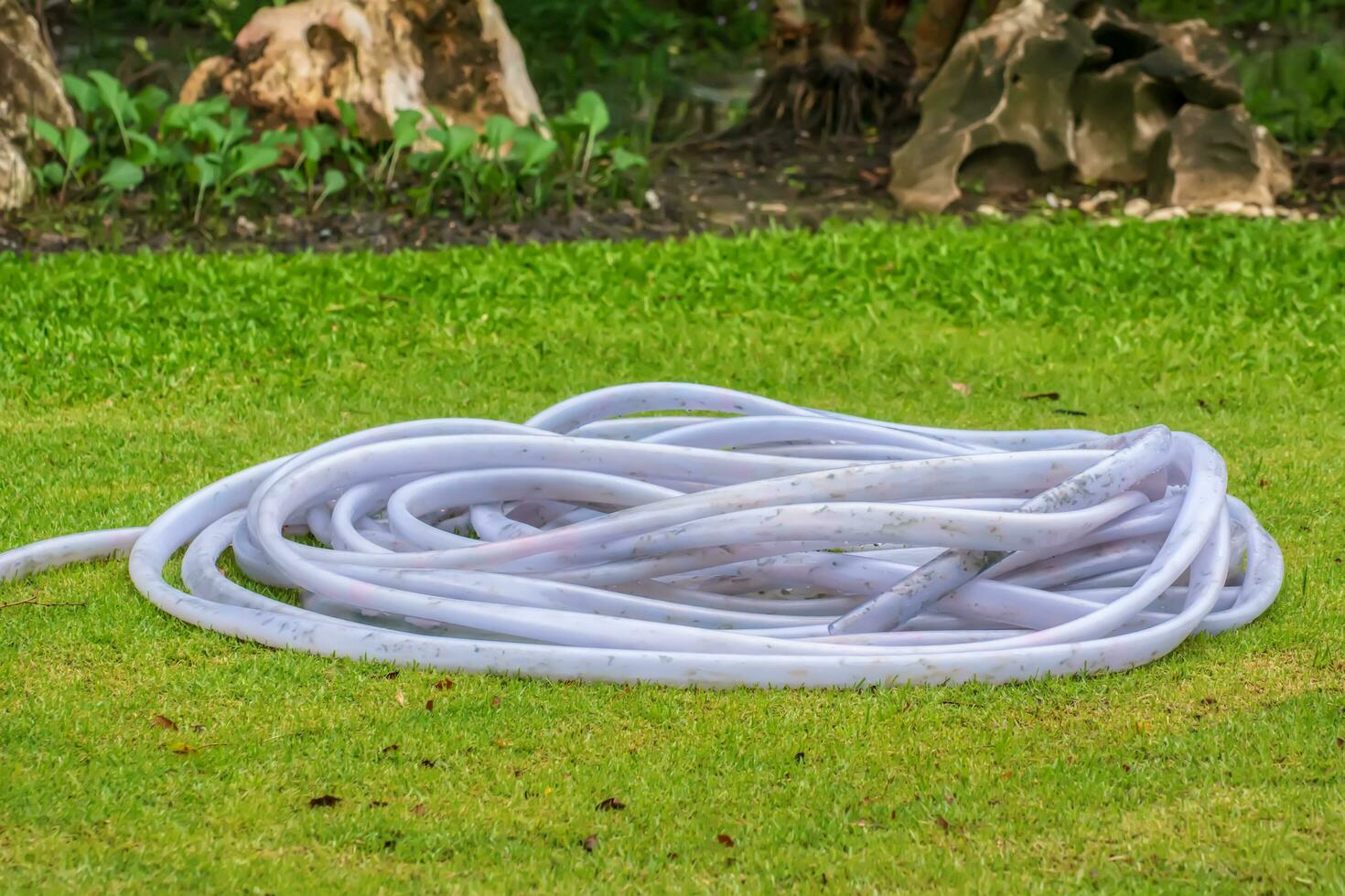 Rubber tube for watering photo