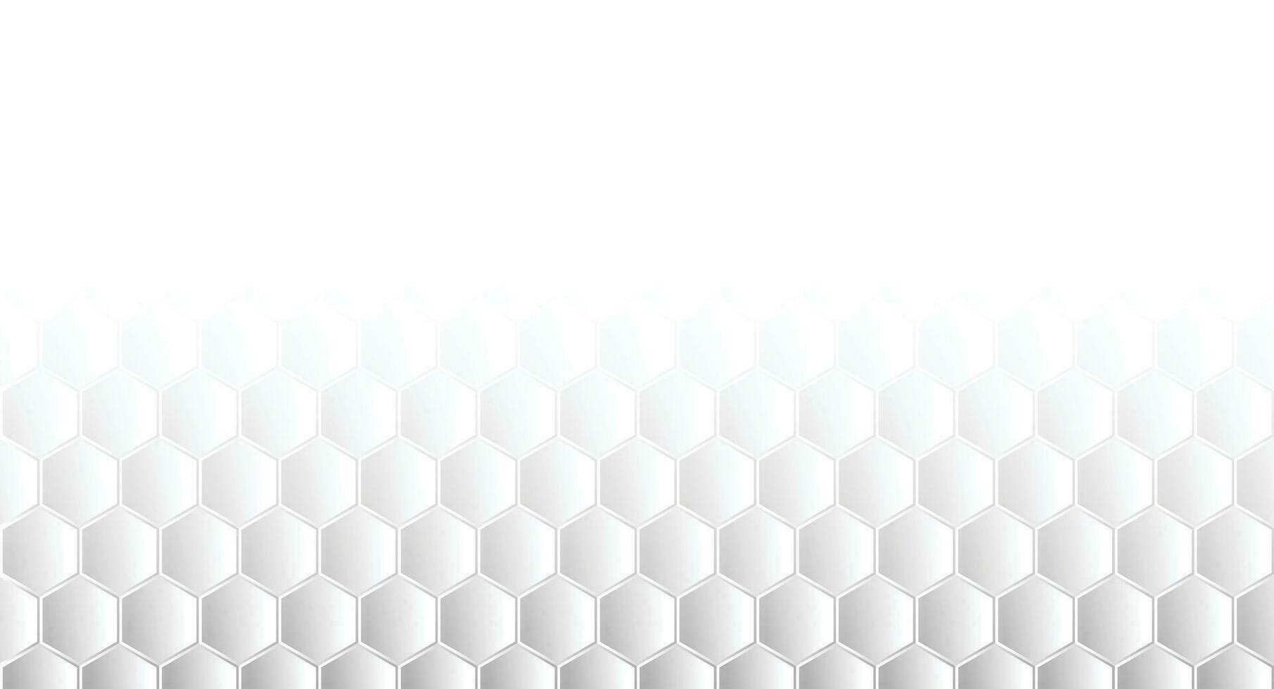 Abstract Geometric Shape Hexagon Background vector