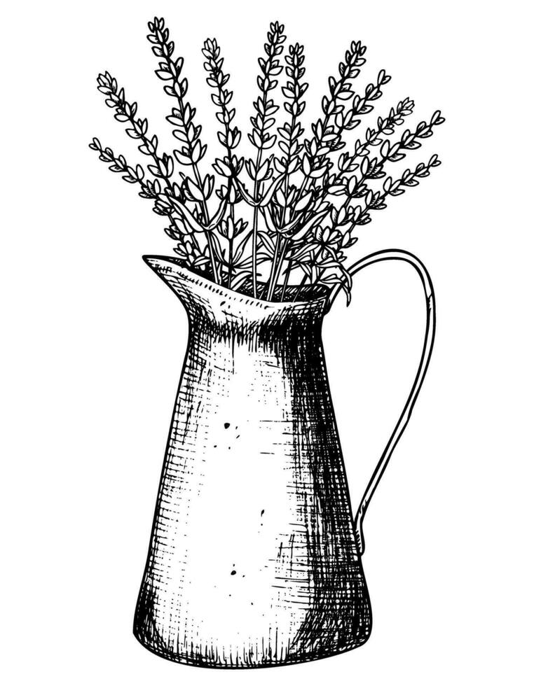 Lavender bouquet in vintage metal rustic Jar. Hand drawn vector illustration of Flowers in garden equipment for greeting cards or invitations on isolated background. Floral drawing in line art style