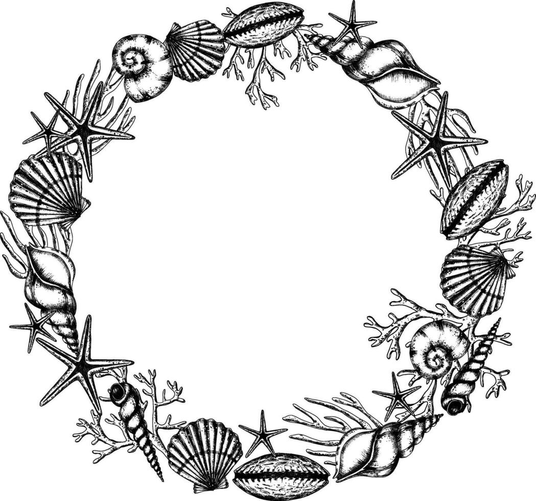 Seashell vector Wreath on isolated background. Hand drawn illustration of circular Frame with sea Shells. Underwater border for icon or logo in marine style with cockleshells and starfish. Black inks