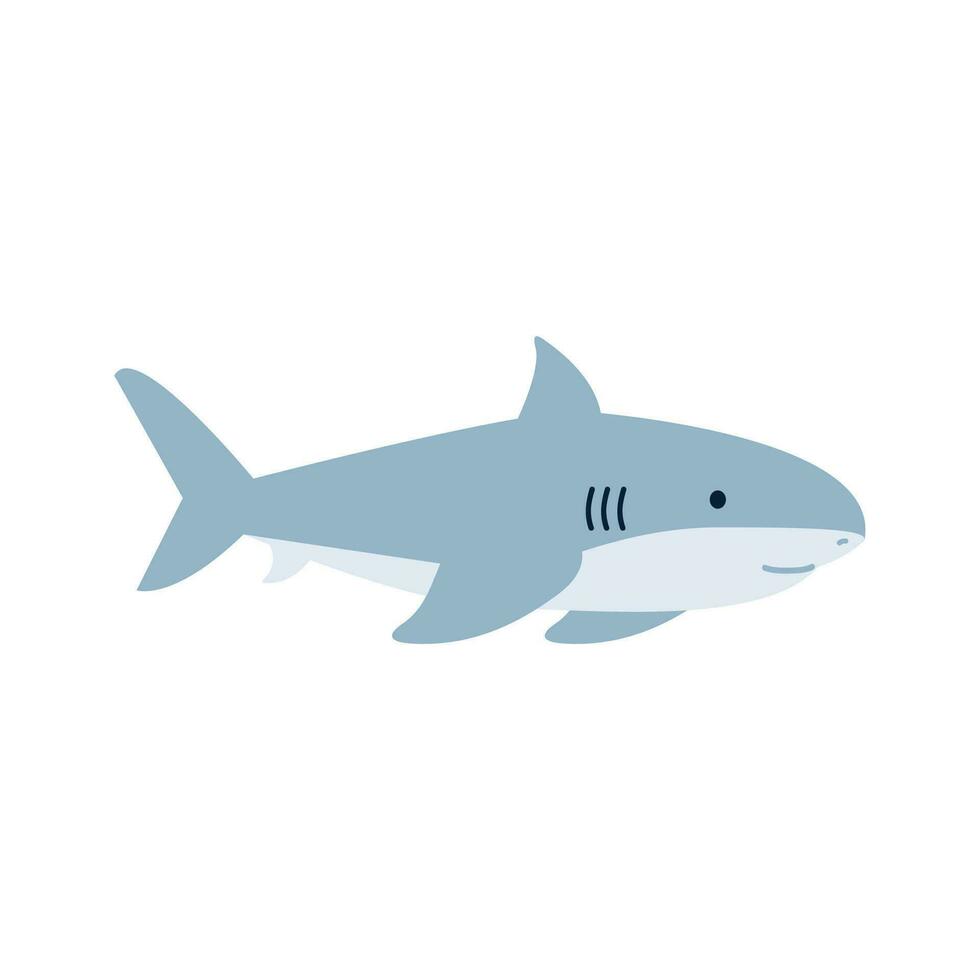 Cute flat Shark animal cartoon vector