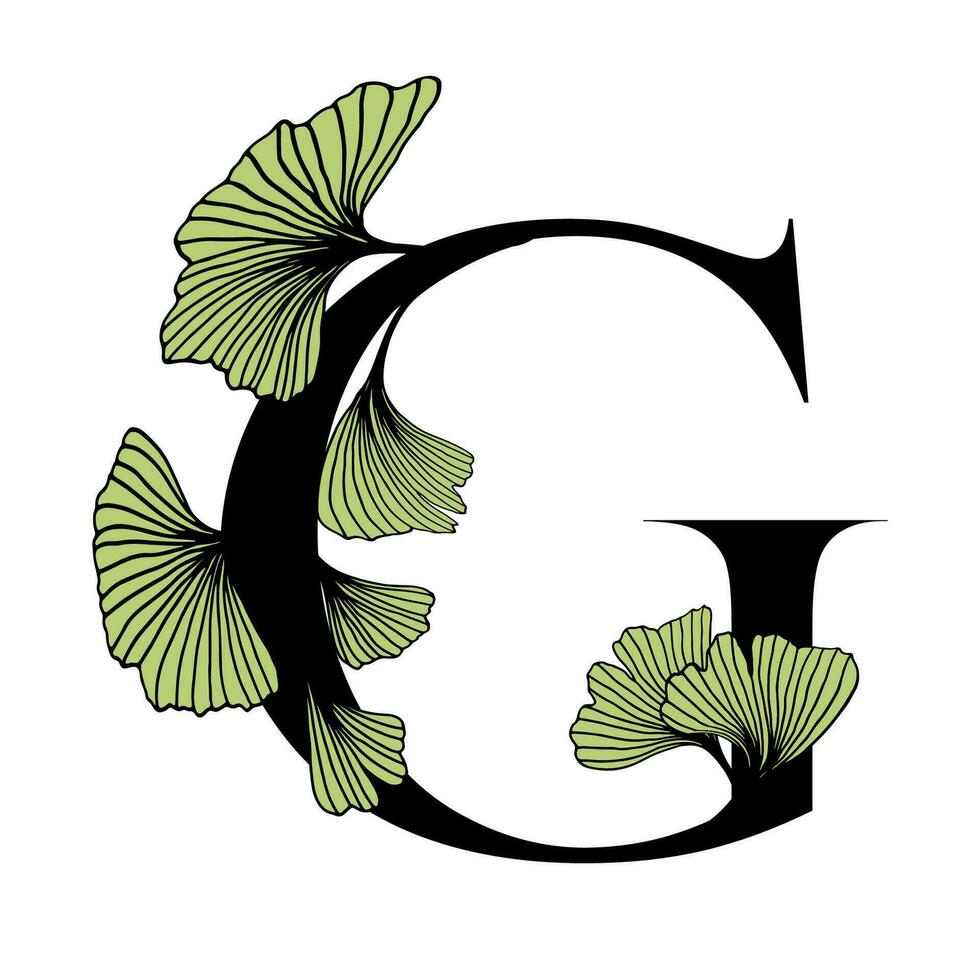 Ginkgo Biloba ABC vector