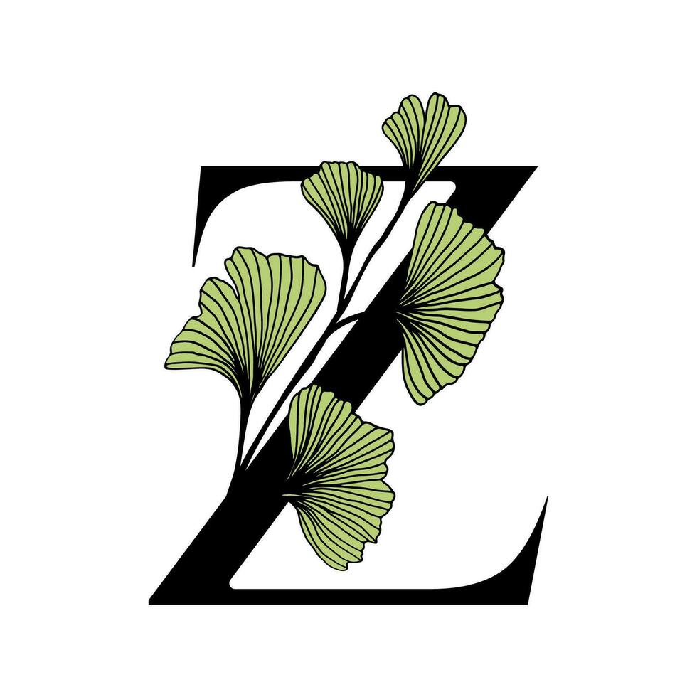 Ginkgo Biloba ABC vector