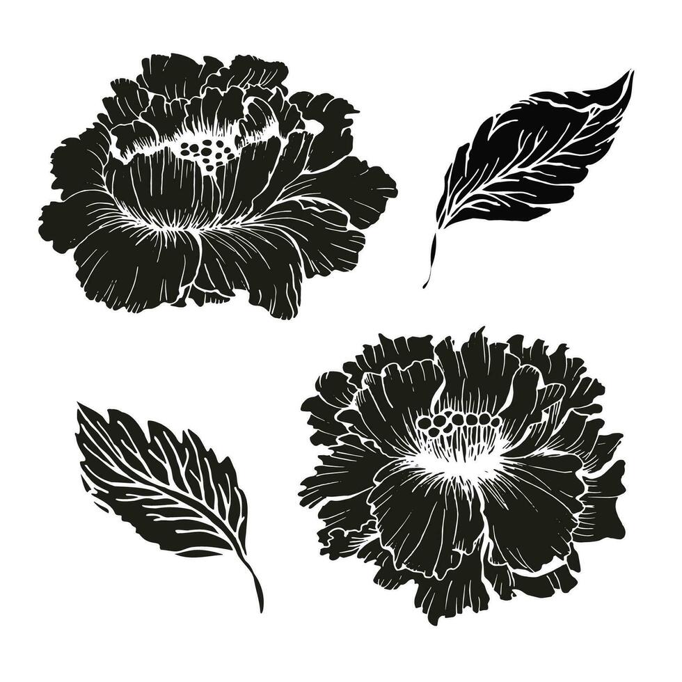 lomos peonías flor guirnalda marco para diseño tarjeta o invitación floral tinta mano dibujado diseño. lomos peón con hojas vector