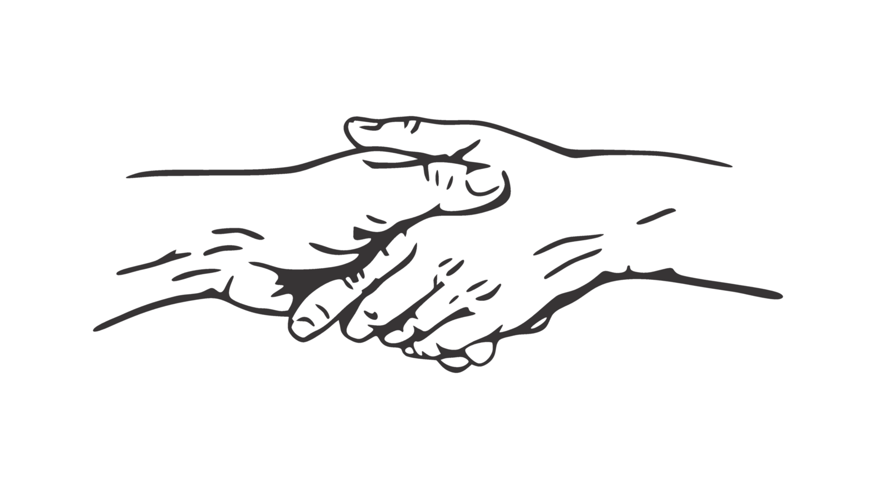 friendly handshake transparent background illustration png