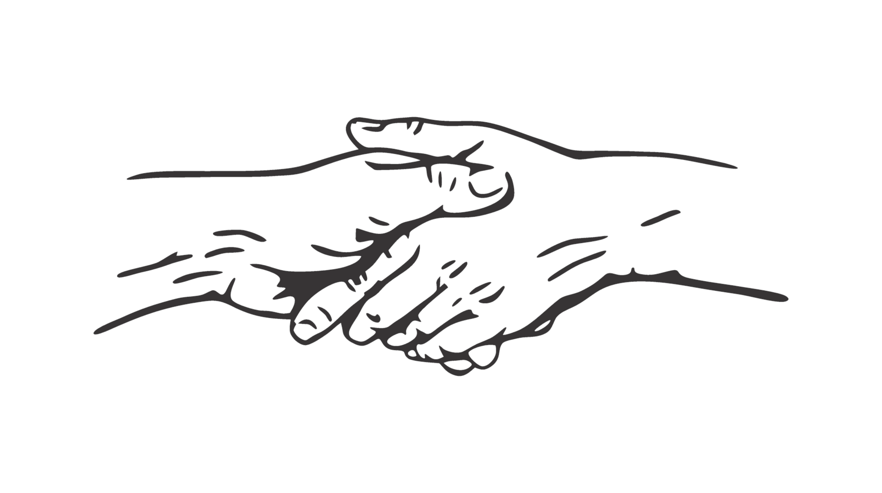 friendly handshake transparent background illustration psd