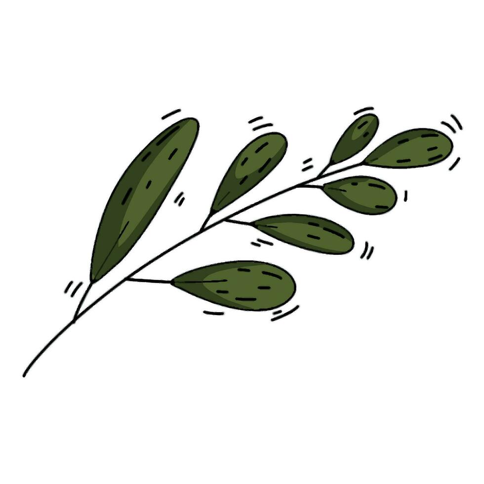 Hand drawn doodle style green branch vector