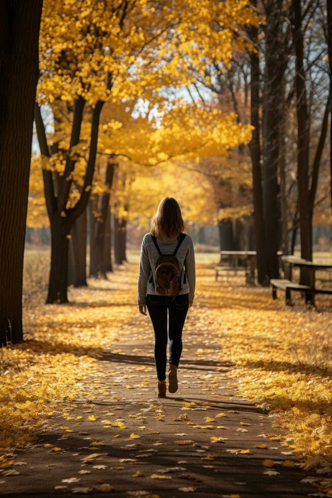 naturaleza caminar con otoño follaje foto