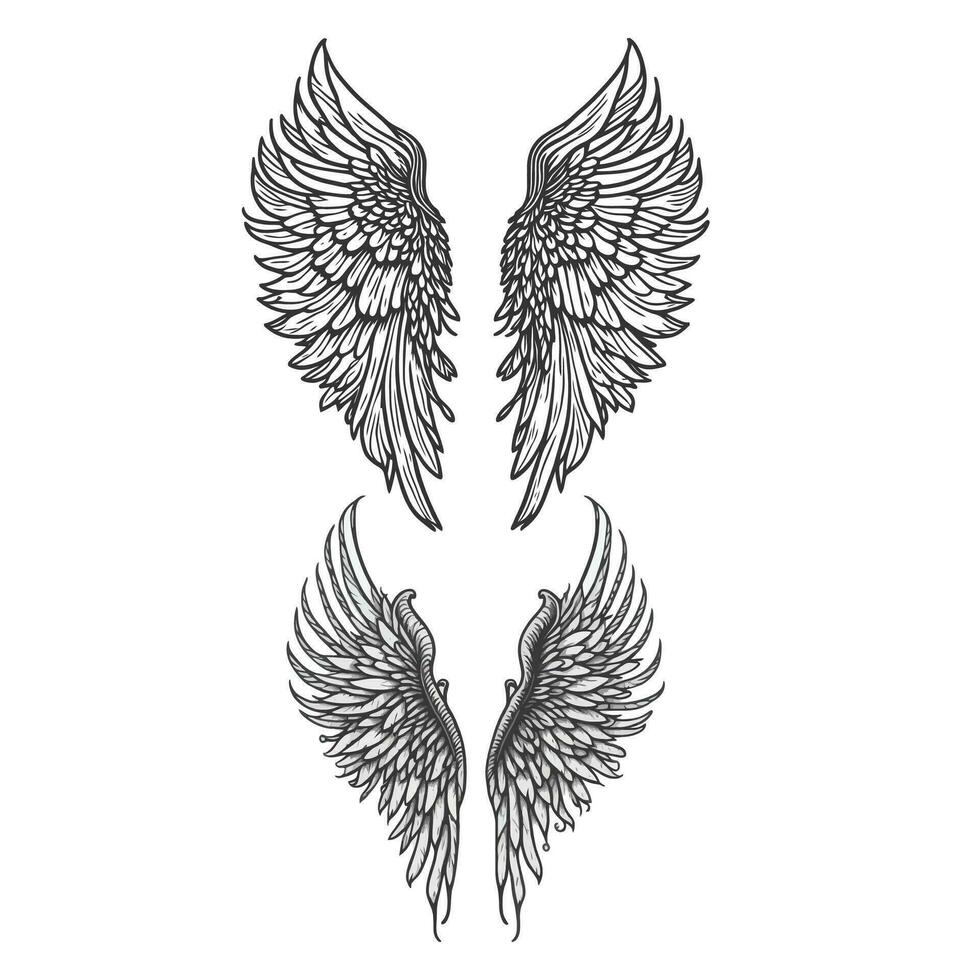 Vector hand drawn wing illustration