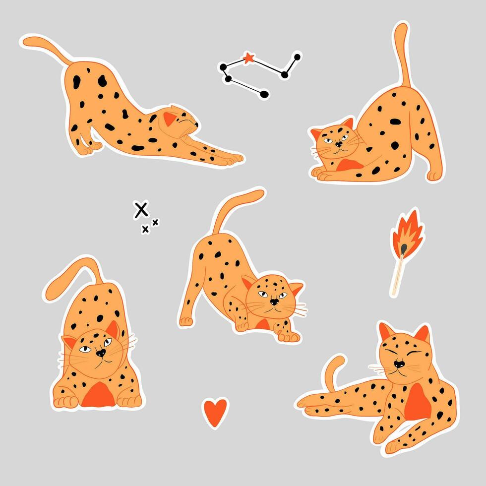 Collection stickers with orange kittens. Cute cats in different pose. Domestic animal. Isolated vector illustration