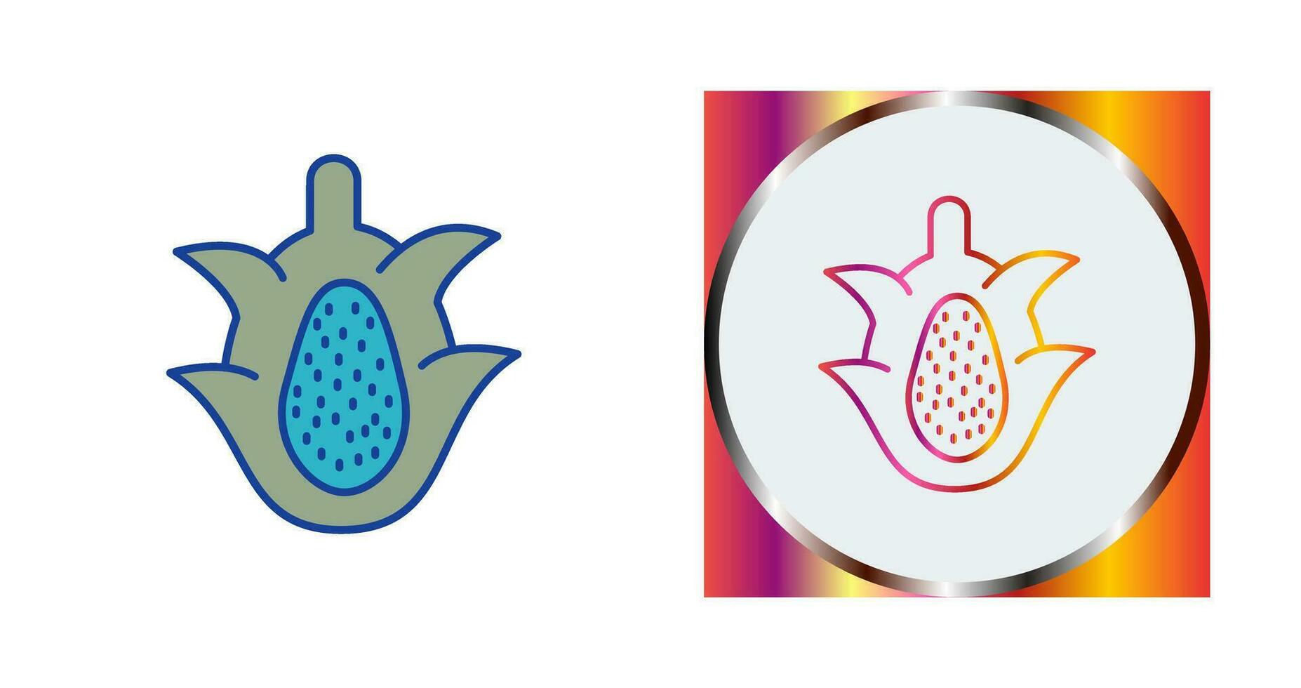 Dragon Fruit Vector Icon