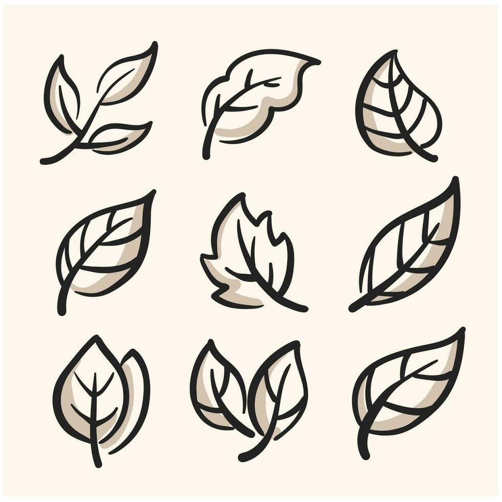 leaf line doodle with the best line art quality with a cream background vector