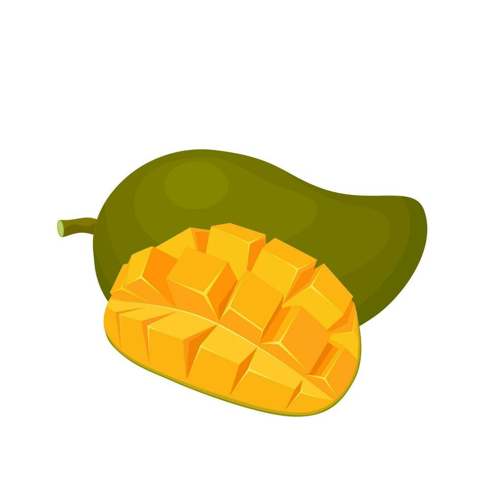 vector ilustración, mango Fruta con mango cubitos, aislado en un blanco antecedentes.