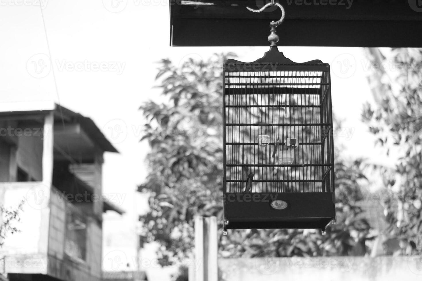 black and white photo of a bird cage made of iron.
