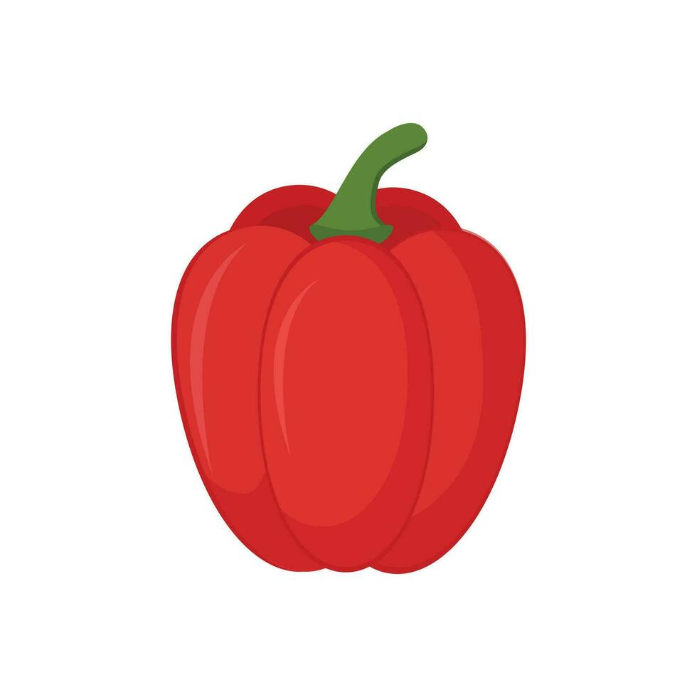 Red bell pepper isolated on a white background. vector