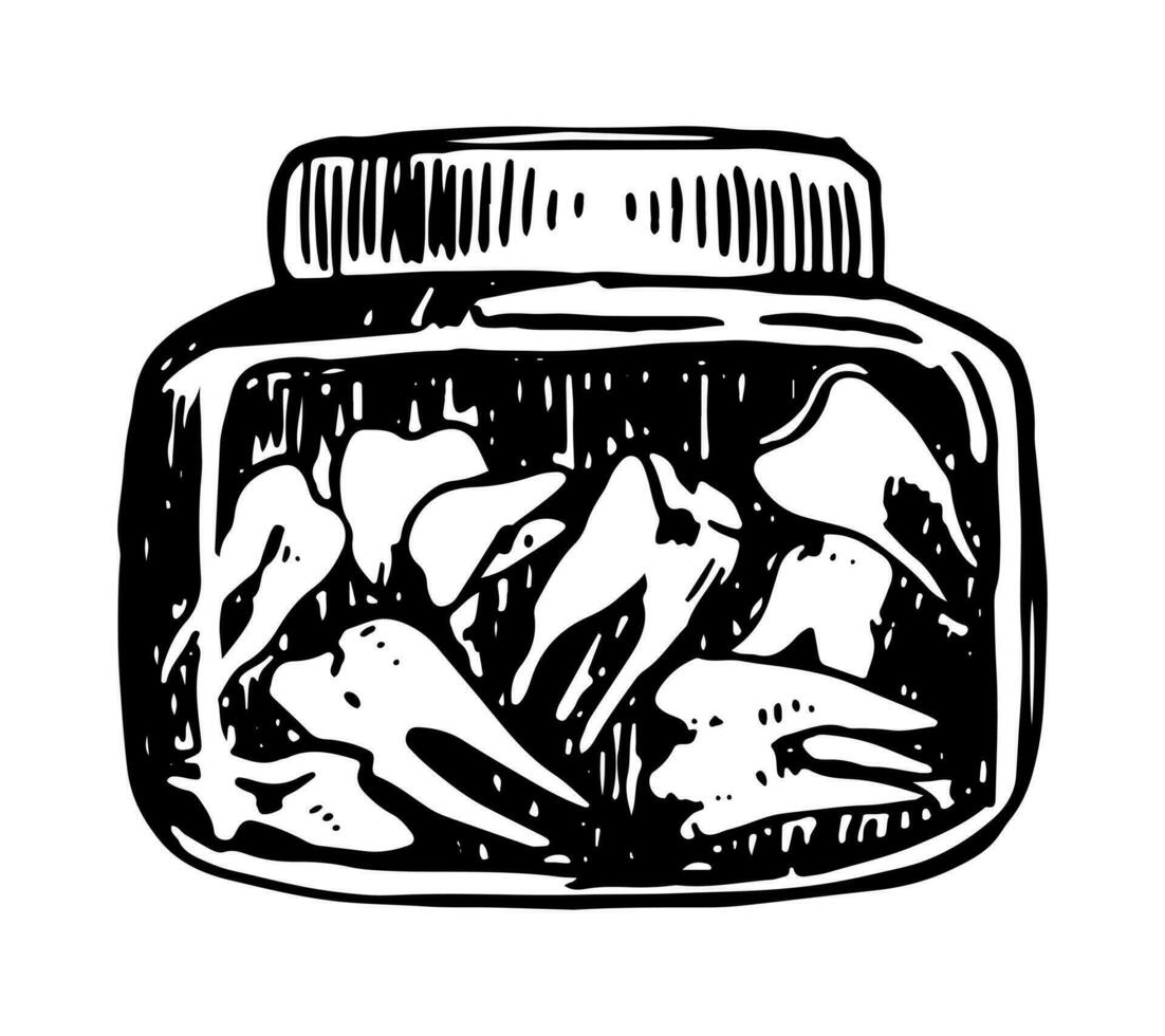 Teeth in jar, spooky occult items doodle. Halloween hand drawn vector illustration in retro style. Dark theme ink sketch isolated on white.