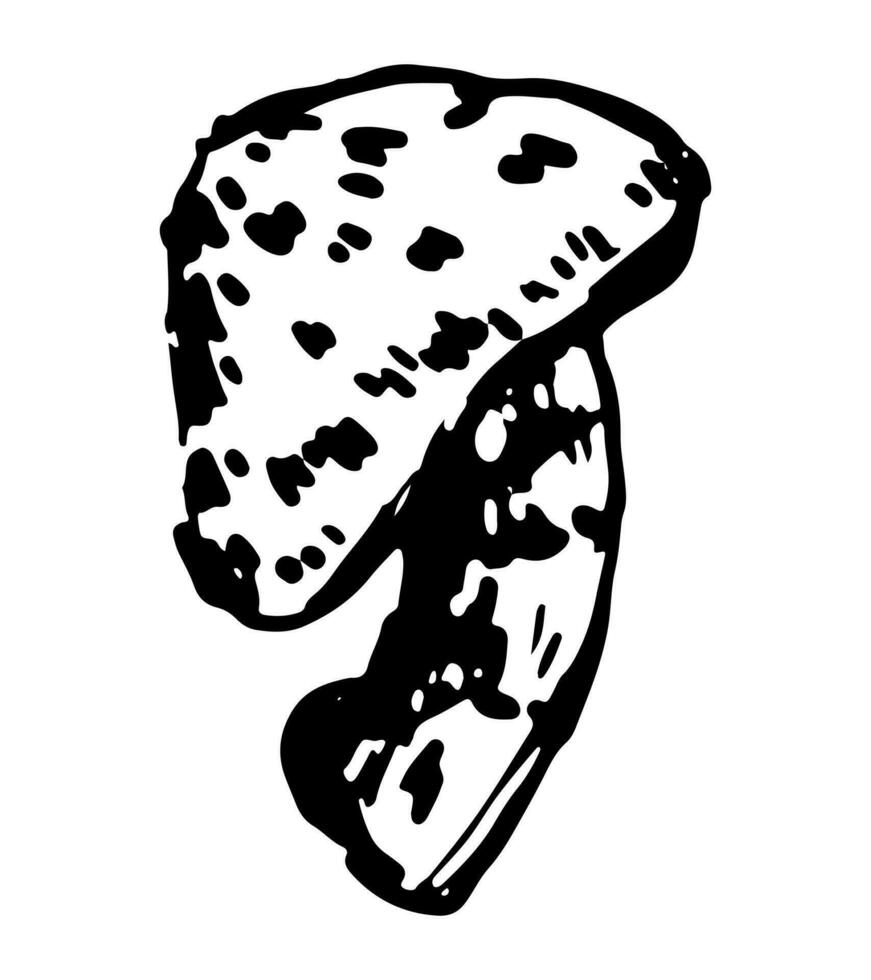 Poison mushroom. Abstract fungus in engraving style. Hand drawn vector sketch illustration. Halloween decor clipart isolated on white.