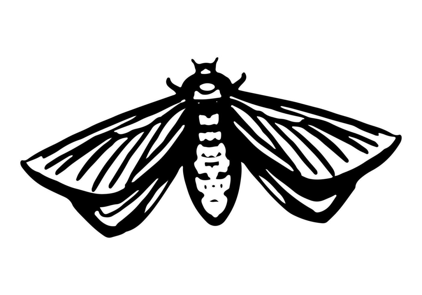 Flying moth, insect animal sketch. Hand drawn vector illustration. Retro engraving style clipart isolated on white background.