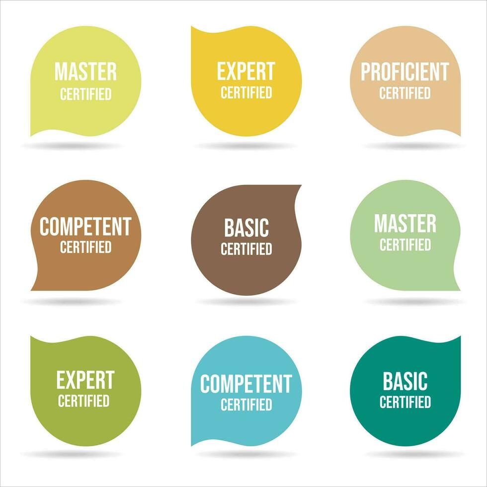 Collection of certified badge colorful vector template