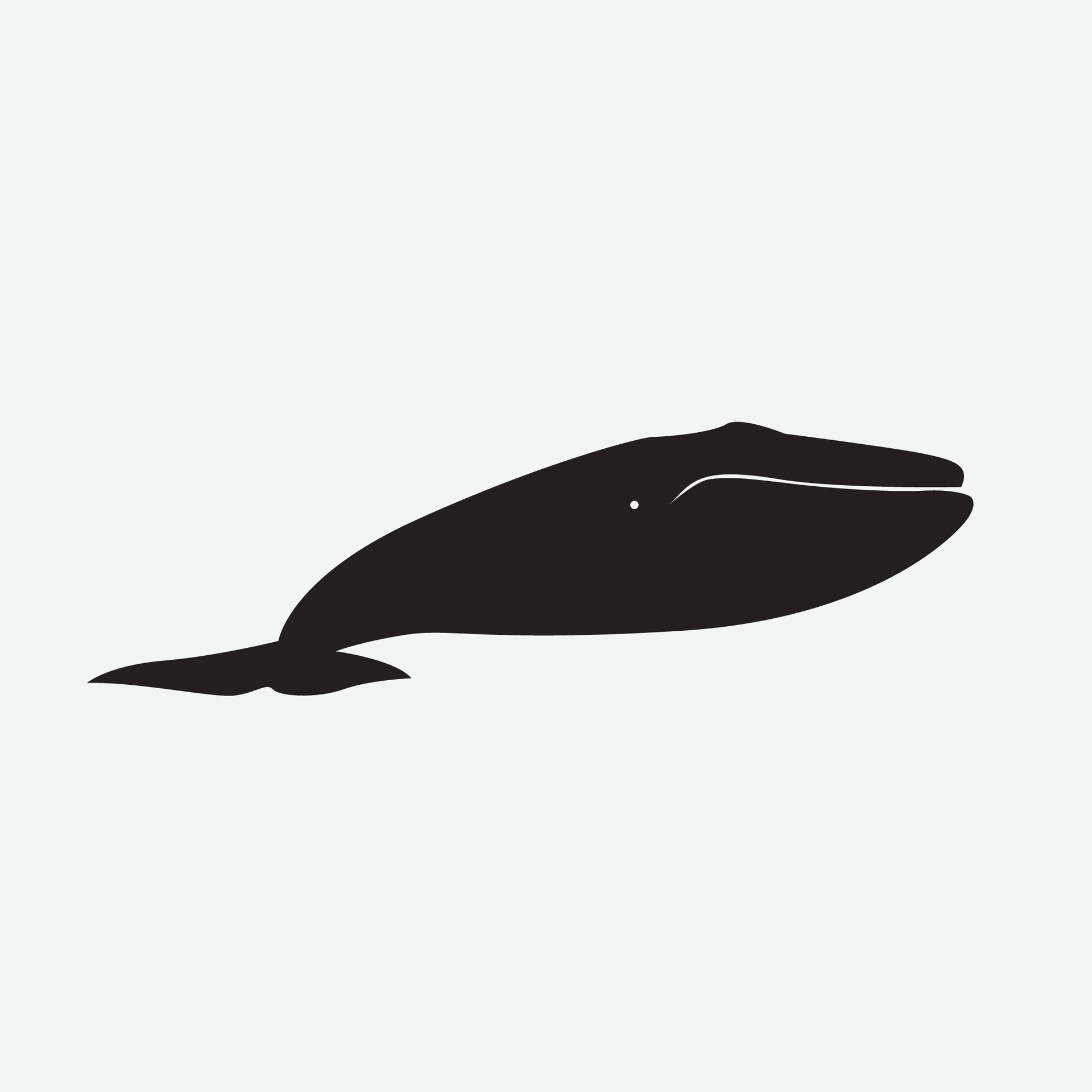 Blue whale vector png 29747759 Vector Art at Vecteezy