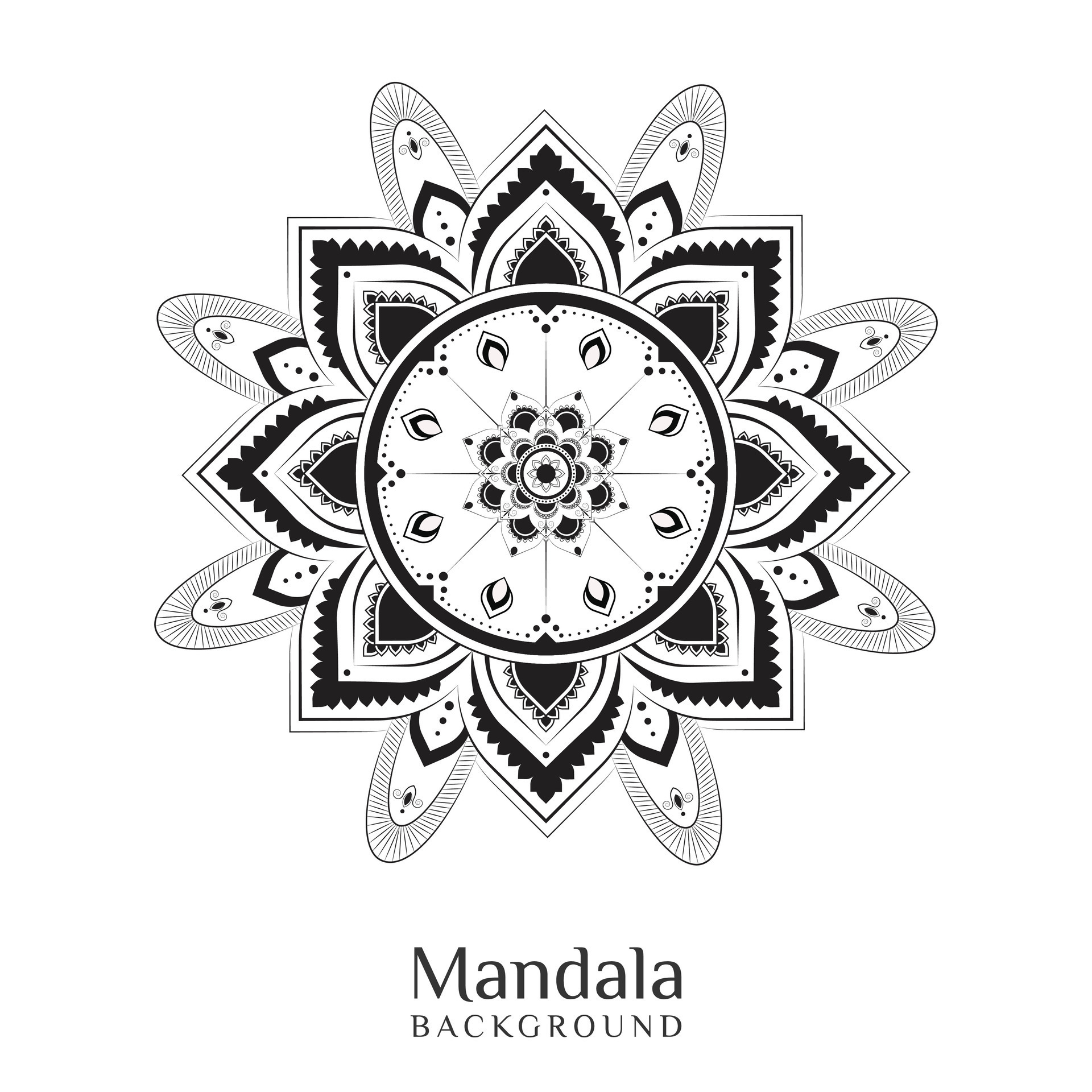 Elegant unique mandala in outline design 29747943 Vector Art at Vecteezy