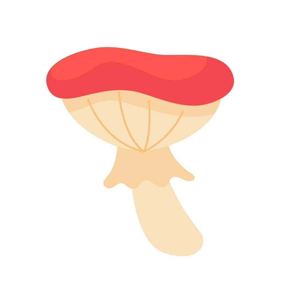 Mushrooms caused by fungi Harvest season at Thanksgiving vector