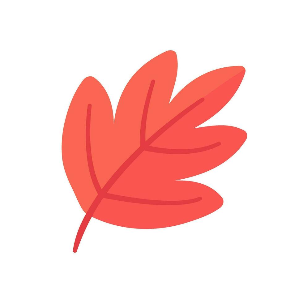 Beautiful leaf composition. Leaves change color in autumn vector