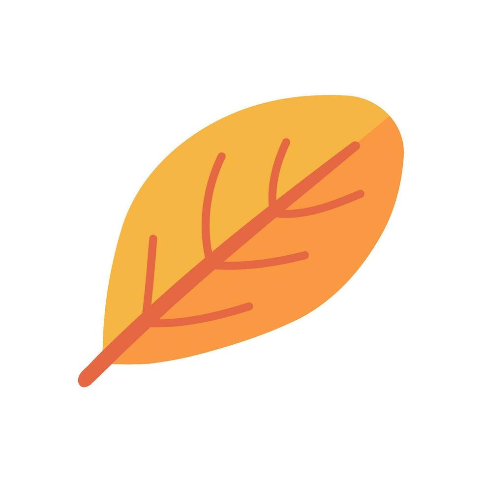 Beautiful leaf composition. Leaves change color in autumn vector