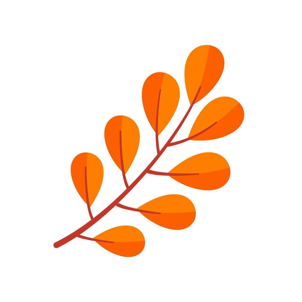 Beautiful leaf composition. Leaves change color in autumn vector