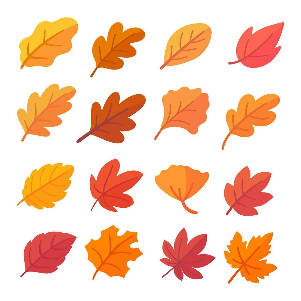Autumn leaf collection Orange maple leaves in autumn simple design vector