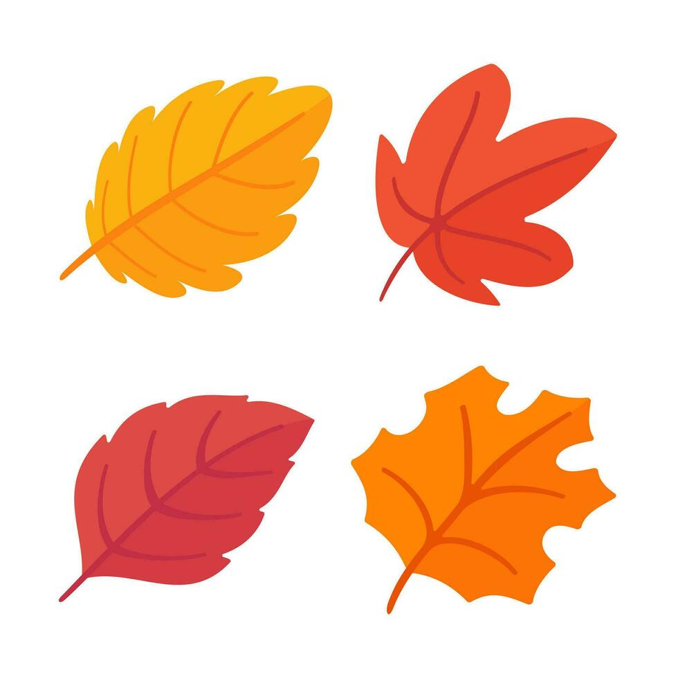 Beautiful leaf composition. Leaves change color in autumn vector