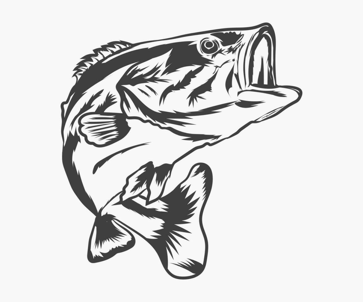 Vector hand drawn fish vector illustration. Vector big bass fish