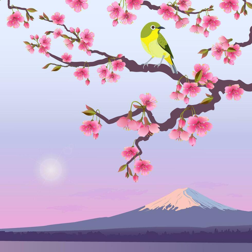 realista gráficos de uguisu y sakura en un antecedentes de fuji japonés ruiseñor en un rama de cierne cerezas. vector ilustración de arbusto wabler. fujiyama en el Dom.