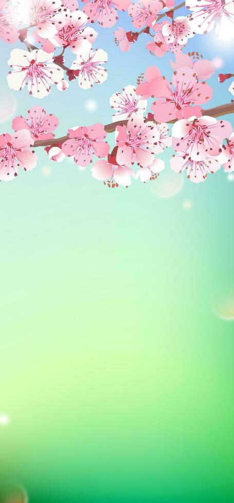 Vertical illustration of spring. Cherry blossoms on a blurry background. Pink cherry blossoms, hanami time. a template for romantic design. vector