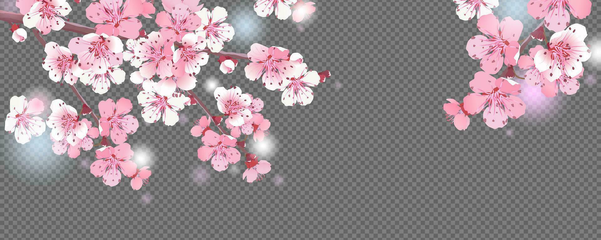 Branches of cherry blossoms. For spring greeting cards and cosmetics packaging. Branches with pink sakura blossoms. Vector illustration.