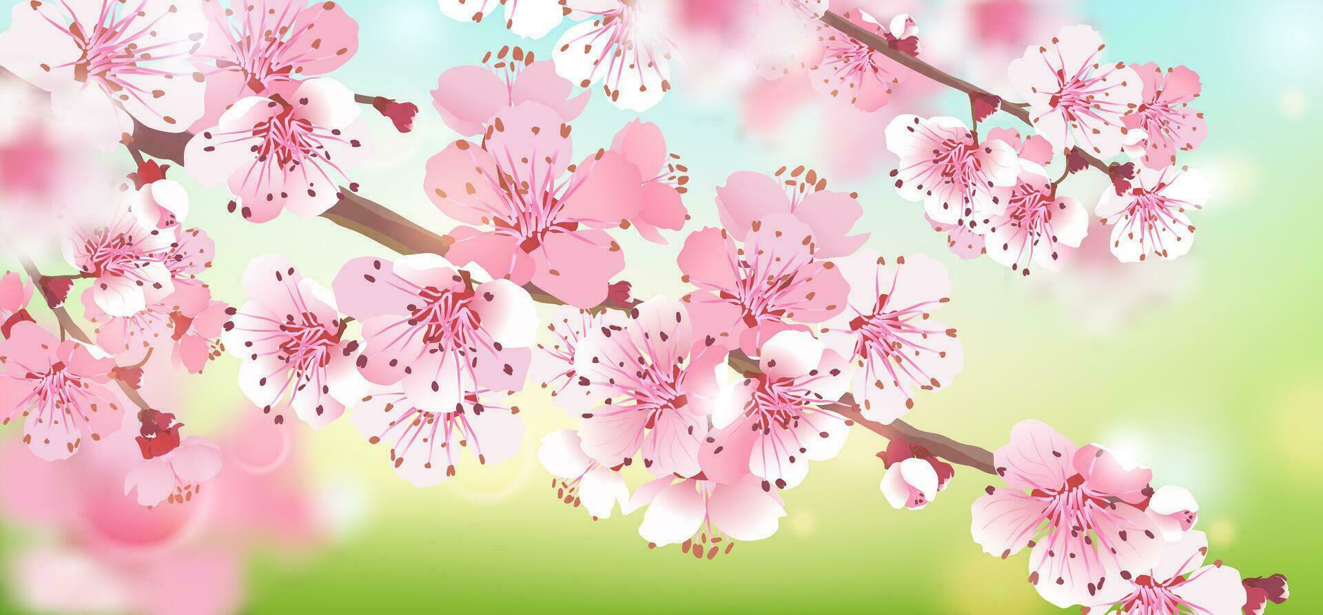 Realistic branch of pink Sakura on a blue-green background. Cherry blossom is a symbol of love, spring. Vector illustration for wedding invitations, background. Design for Wallpaper, flower.