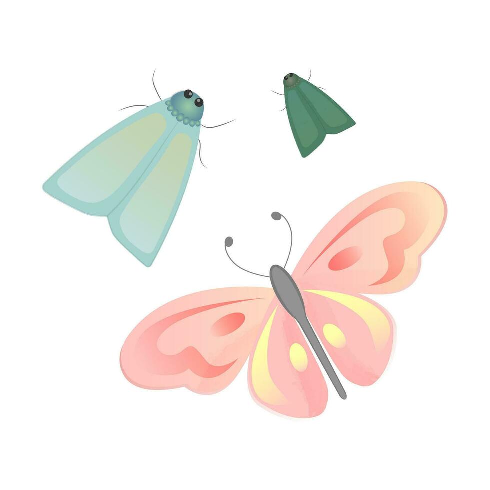 Vector set of colorful moths and butterfly. Vector insects