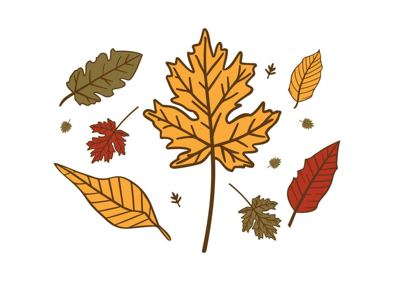 otoño hojas colocar, aislado en blanco fondo, sencillo dibujos animados plano estilo, vector ilustración